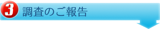 調査のご報告