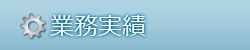 業務実績